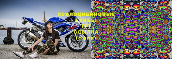 гашик Алзамай