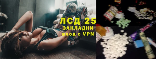 мет Алексин