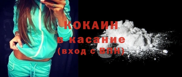 хмурый Няндома