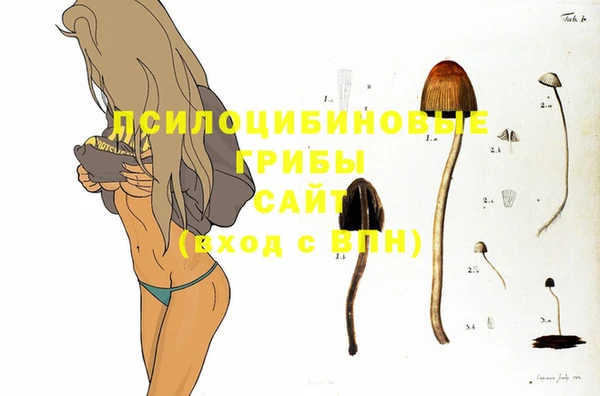mix Алексеевка