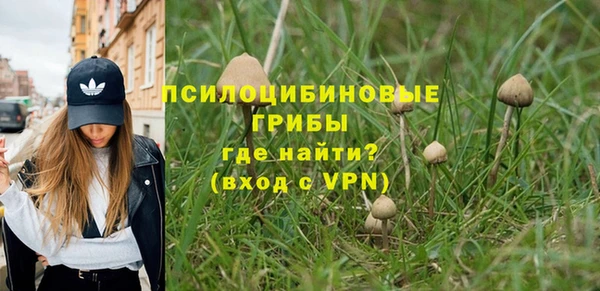 гашик Алзамай