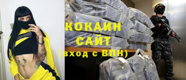 гашик Алзамай