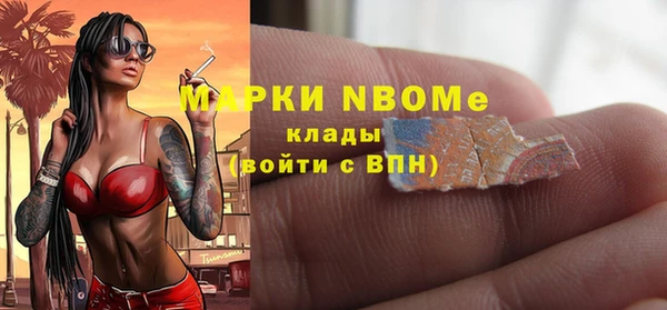 мет Алексин
