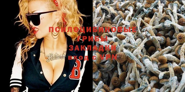 mix Алексеевка