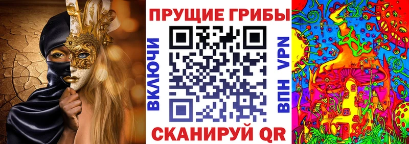Галлюциногенные грибы MAGIC MUSHROOMS  Бологое 