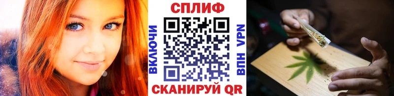 МАРИХУАНА сатива  Бологое 